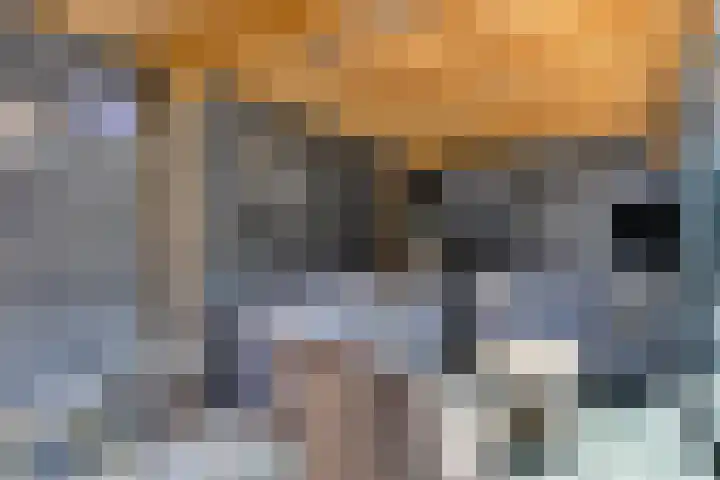 Klabots 12 Best thumbnail 44