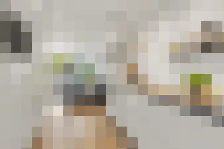 Kladdewortel 6 De Meern thumbnail 17