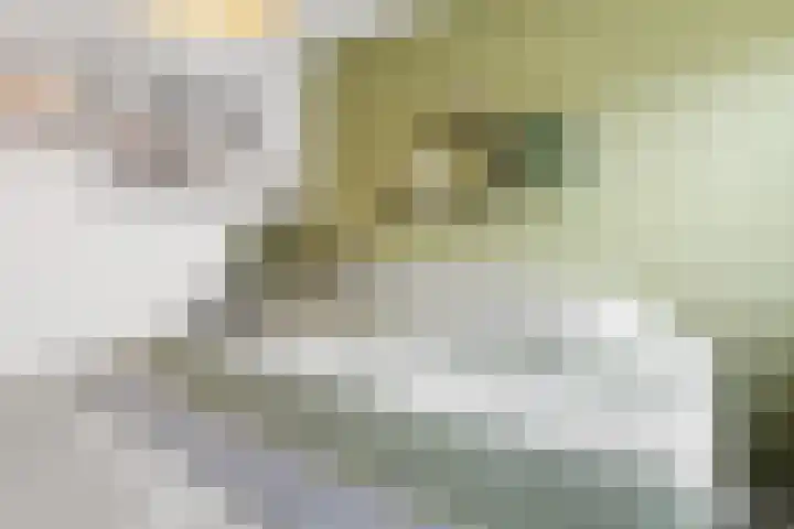 Kladdewortel 6 De Meern thumbnail 21