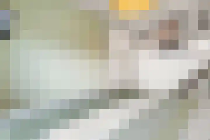 Kladdewortel 6 De Meern thumbnail 22