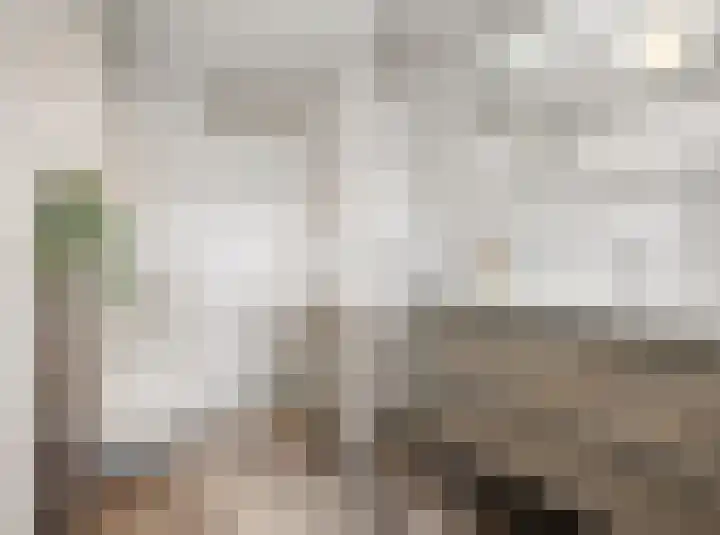 Kladdewortel 6 De Meern thumbnail 26