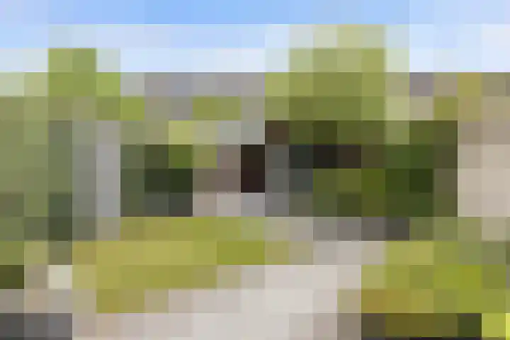 Kladdewortel 6 De Meern thumbnail 43
