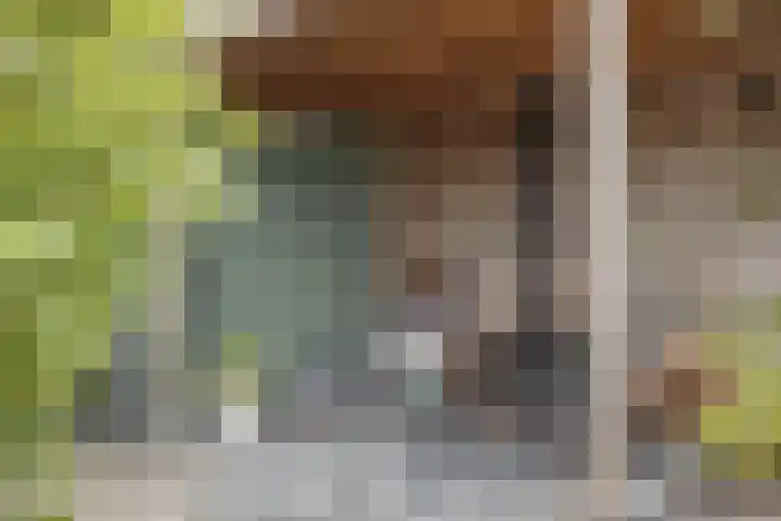 Kladdewortel 6 De Meern thumbnail 44