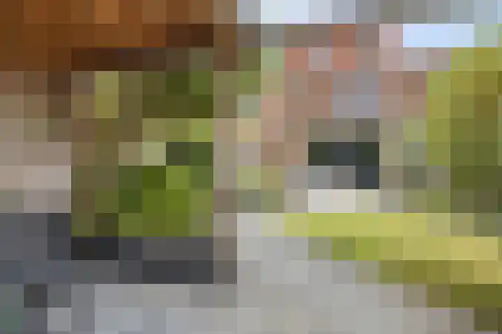 Kladdewortel 6 De Meern thumbnail 46