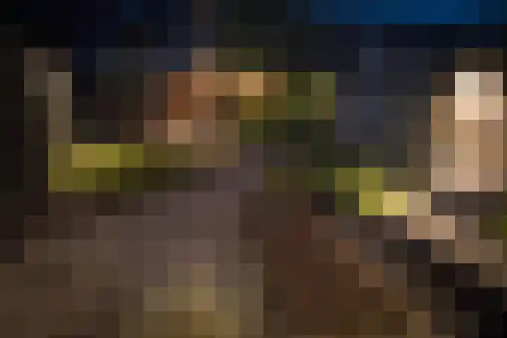 Kladdewortel 6 De Meern thumbnail 51