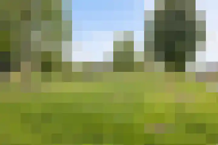Kladdewortel 6 De Meern thumbnail 55