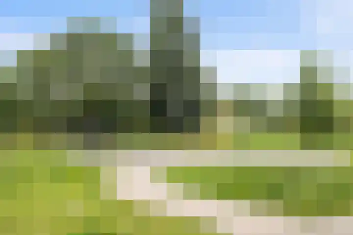 Kladdewortel 6 De Meern thumbnail 57