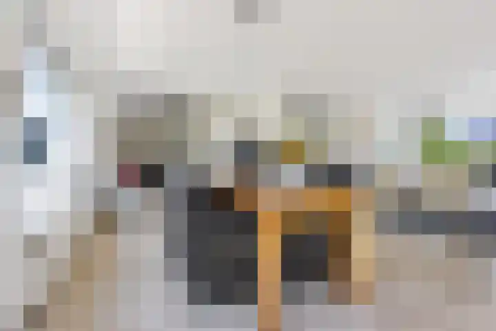 Klamp 9 Joure thumbnail 15