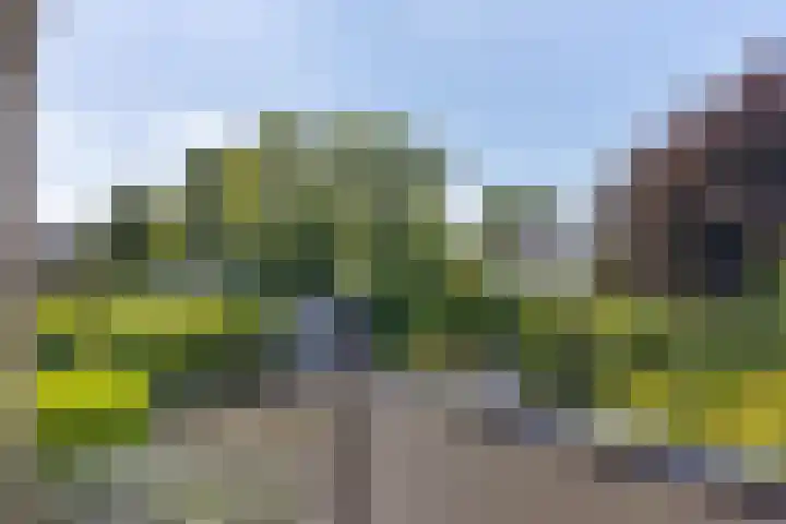 Klamp 9 Joure thumbnail 30