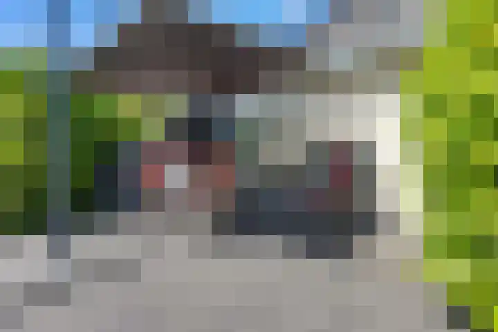 Klamp 9 Joure thumbnail 35