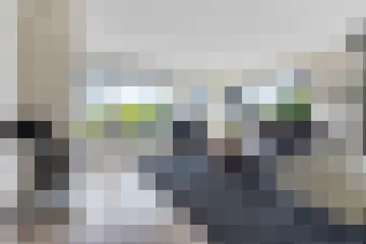 Klamp 9 Joure thumbnail 9