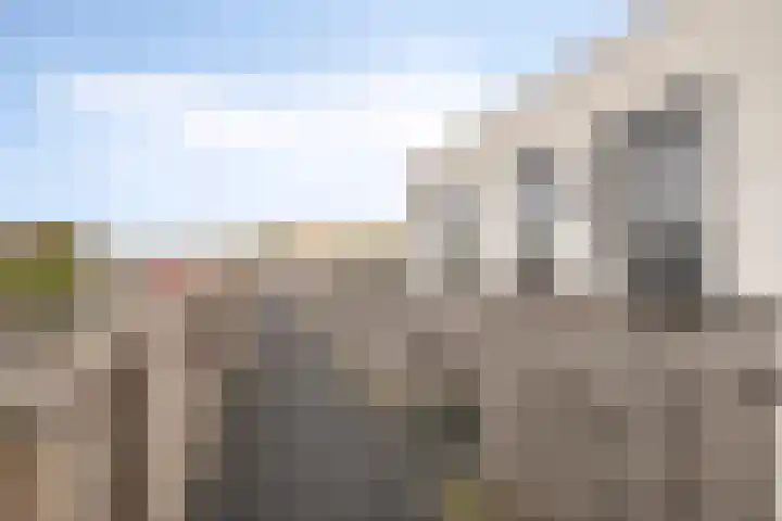 Klapperdijk 32 r Wapenveld thumbnail 17