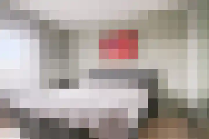 Klapperdijk 32 r Wapenveld thumbnail 9