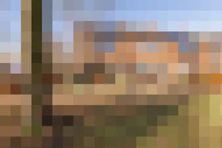 Klaproos 1 Culemborg