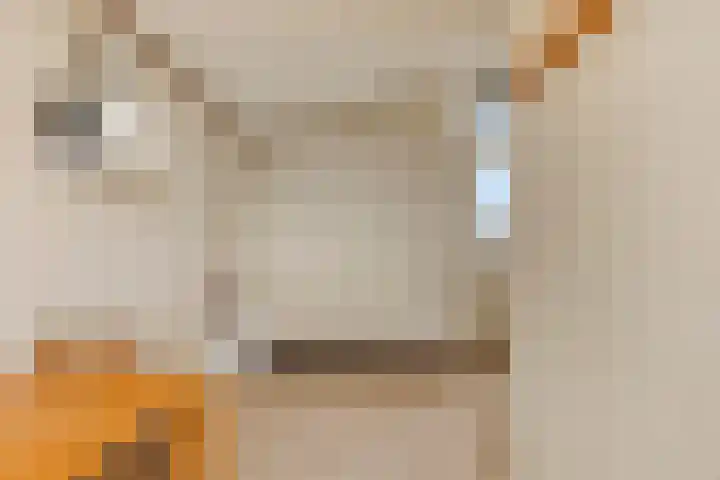 Klaproos 1 Kapelle thumbnail 25
