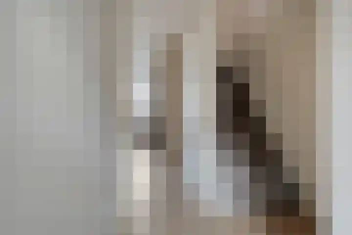 Klaproos 10 Hardenberg thumbnail 23