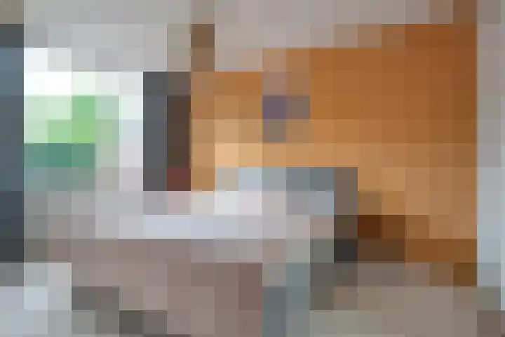 Klaproos 10 Hardenberg thumbnail 25