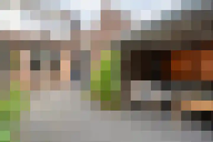 Klaproos 10 Hardenberg thumbnail 37