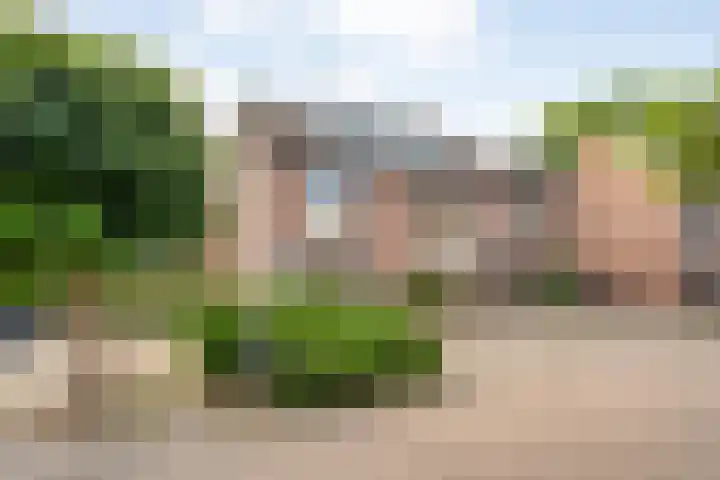 Klaproos 10 Hardenberg thumbnail 4