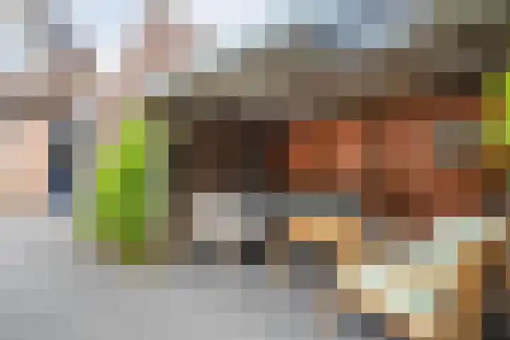 Klaproos 10 Hardenberg thumbnail 42