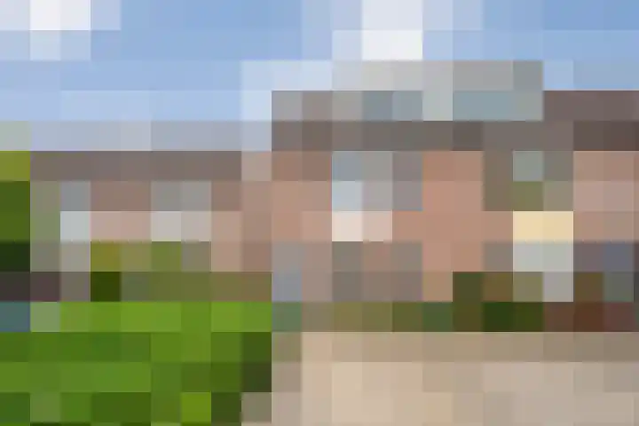Klaproos 10 Hardenberg thumbnail 5