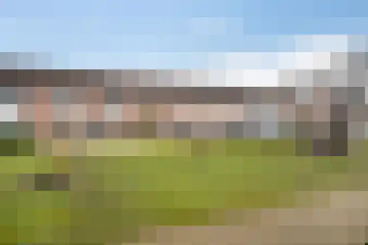 Klaproos 10 Hardenberg thumbnail 7