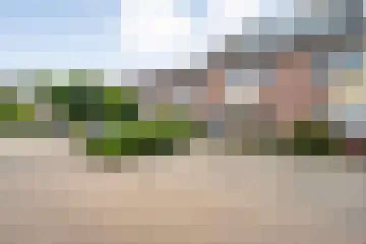 Klaproos 10 Hardenberg thumbnail 8