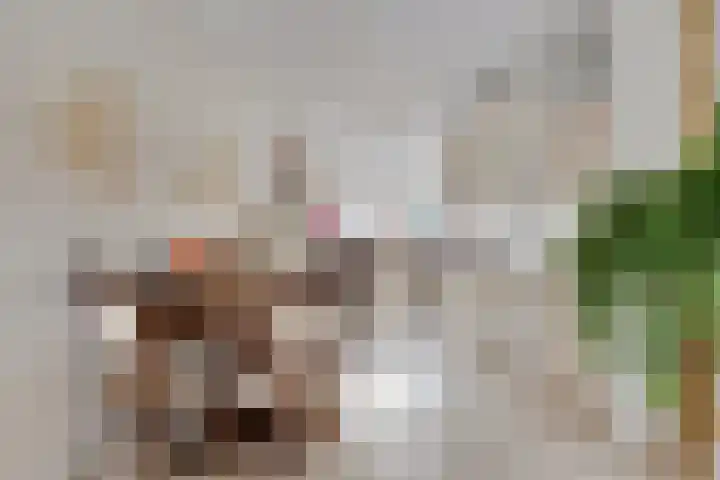Klaproos 20 Purmerend thumbnail 13