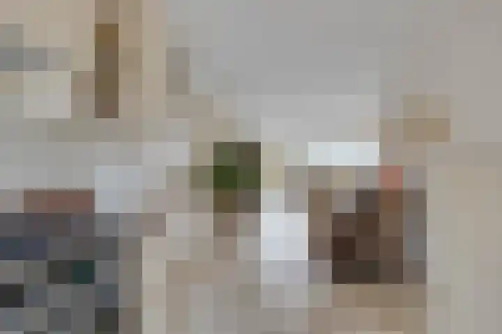 Klaproos 20 Purmerend thumbnail 15
