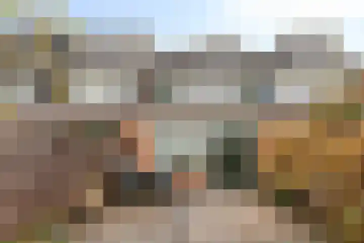 Klaproos 20 Purmerend thumbnail 23
