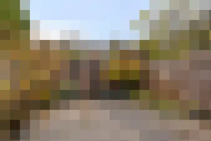 Klaproos 20 Purmerend thumbnail 24