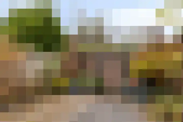 Klaproos 20 Purmerend thumbnail 25