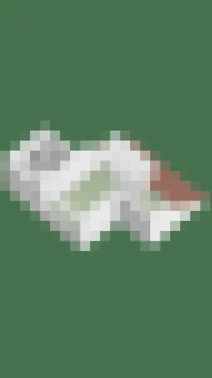 Klaproos 20 Purmerend thumbnail 34