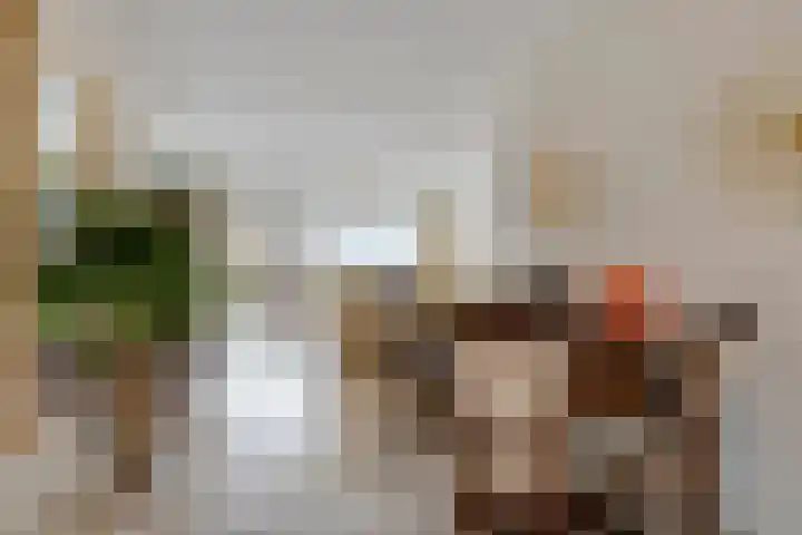 Klaproos 20 Purmerend thumbnail 4