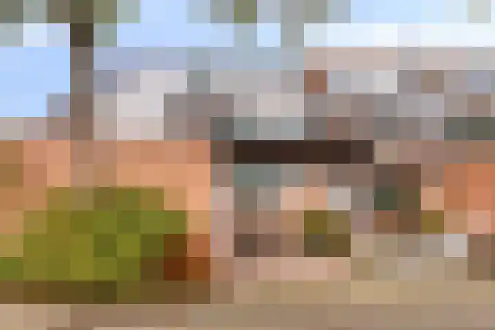 Klaproos 20 Purmerend thumbnail 6