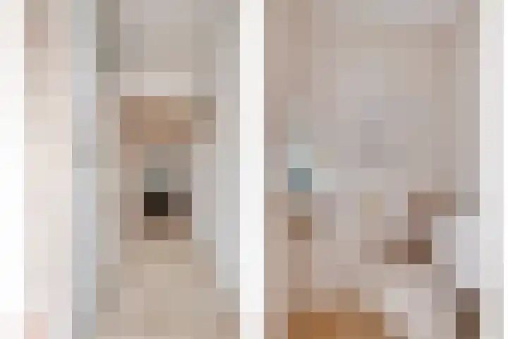 Klaproos 20 Purmerend thumbnail 8