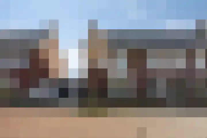 Klaproos 21 in Made