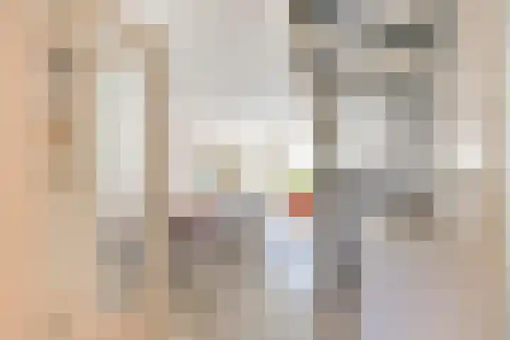Klaproos 22 Leiden thumbnail 10