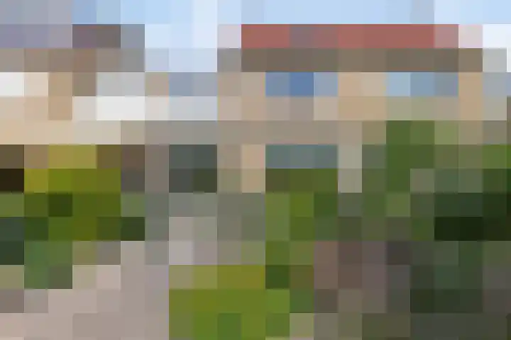 Klaproos 22 Leiden thumbnail 29