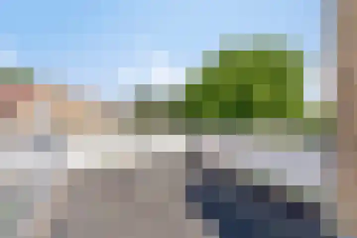 Klaproos 22 Leiden thumbnail 40