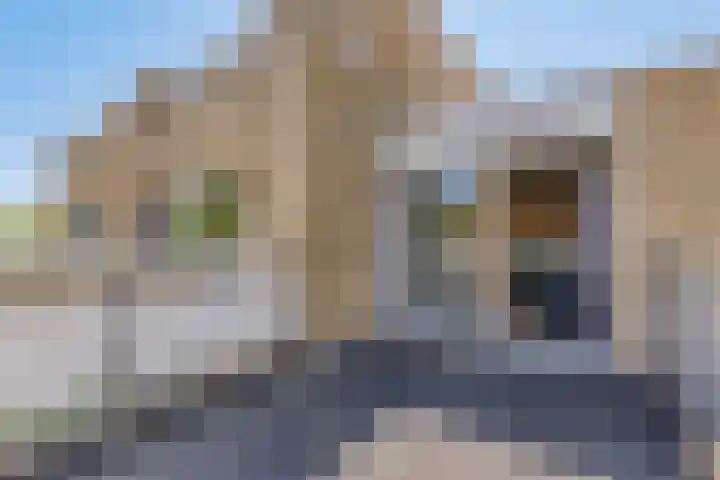 Klaproos 22 Leiden thumbnail 41