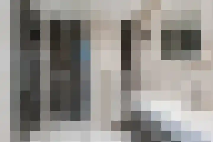 Klaproos 22 Leiden thumbnail 43