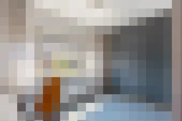 Klaproos 22 Leiden thumbnail 46