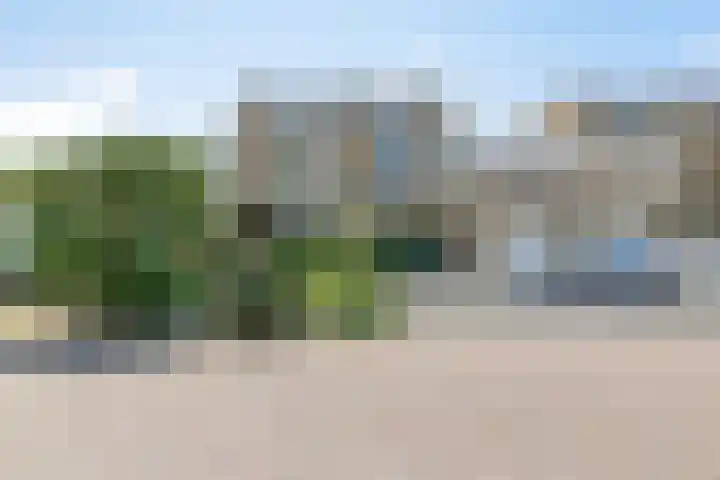 Klaproos 22 Leiden thumbnail 5