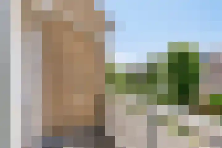 Klaproos 22 Leiden thumbnail 50