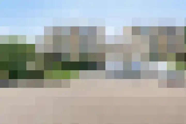 Klaproos 22 Leiden thumbnail 61