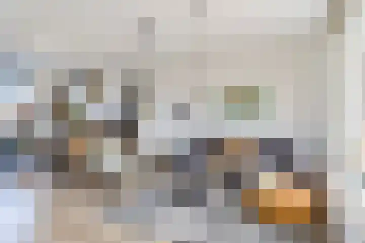 Klaproos 23 Eijsden thumbnail 10