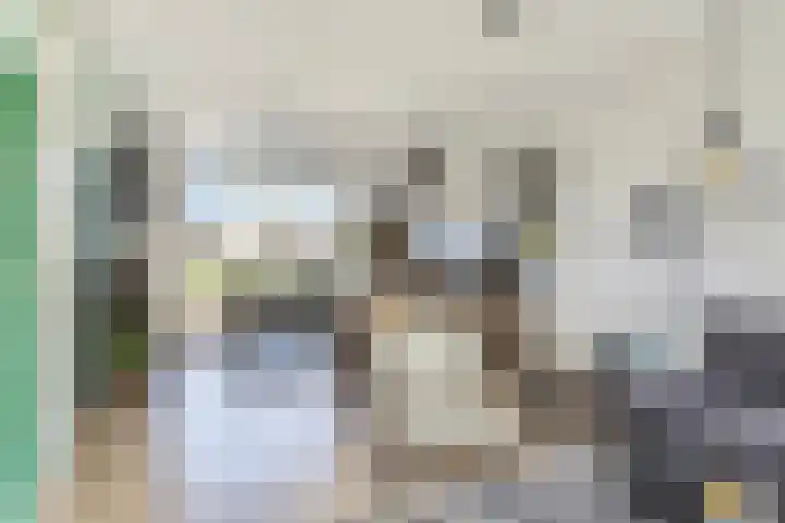 Klaproos 23 Eijsden thumbnail 11