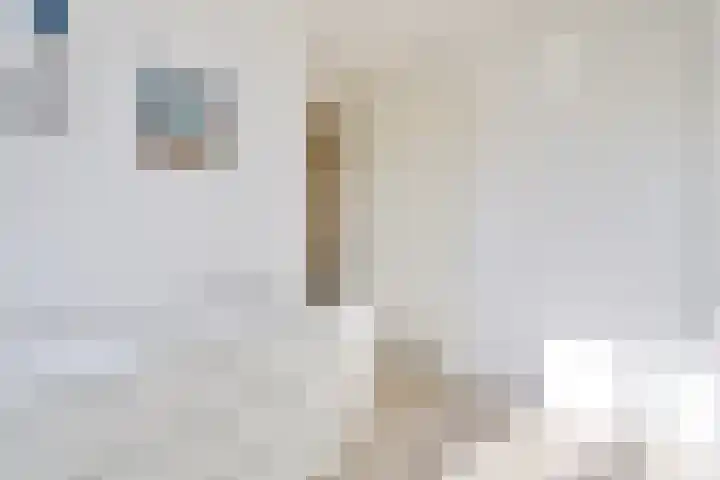 Klaproos 23 Eijsden thumbnail 21
