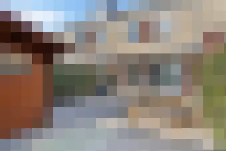 Klaproos 23 Eijsden thumbnail 25